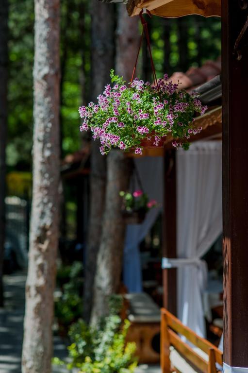 Hotel Park Bachinovo Błagojewgrad Zewnętrze zdjęcie